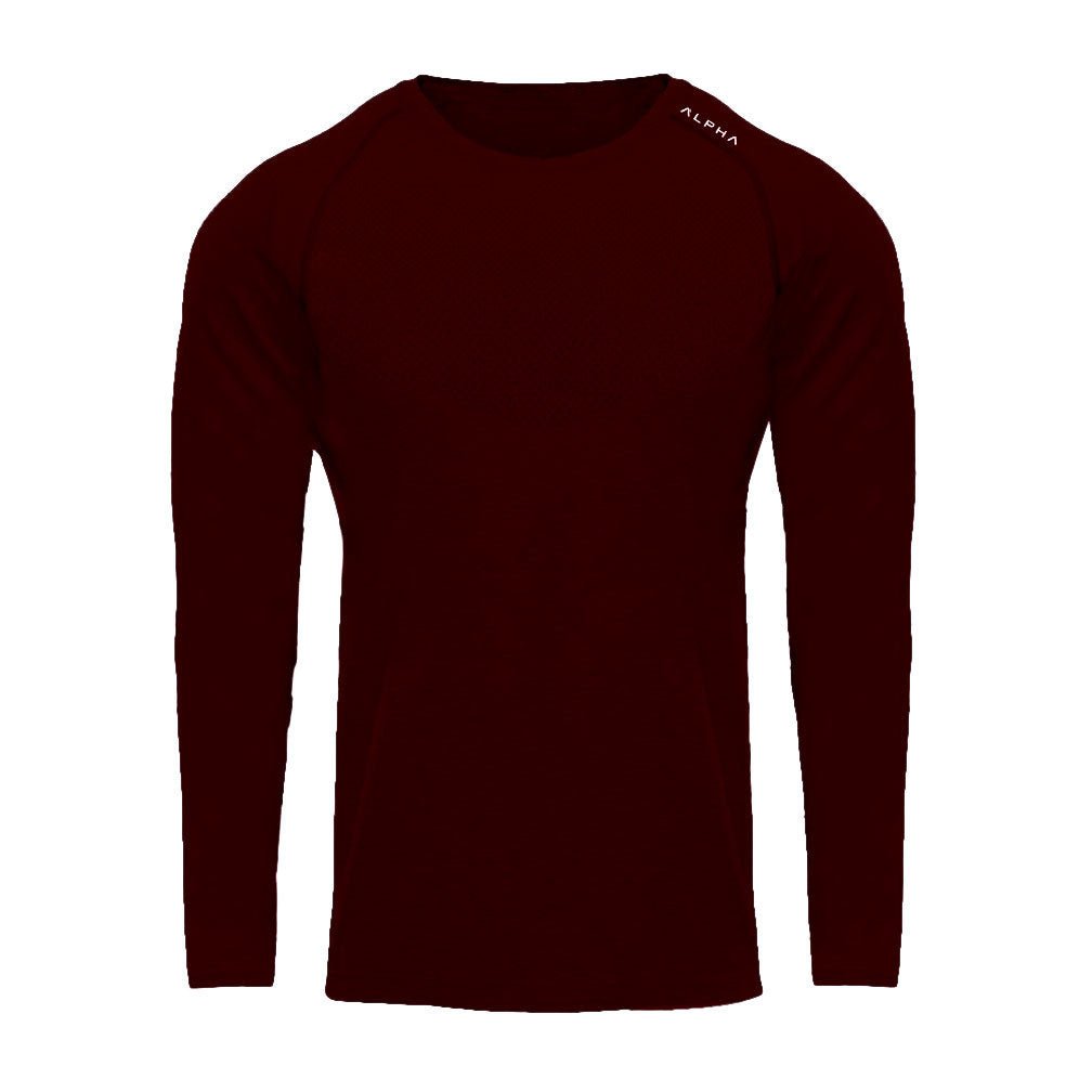 O Neck Long Sleeve Mesh Polyester Quick Dry Workout Gym Athletic T Shirt Men - Allen Fitness