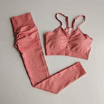 2 Piece gym Workout Clothes For Women Seamless Leggings Sports Bra Woman Running Sports Wear Gym Clothing Athletic Yoga Set - Allen-Fitness