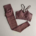 2 Piece gym Workout Clothes For Women Seamless Leggings Sports Bra Woman Running Sports Wear Gym Clothing Athletic Yoga Set - Allen-Fitness