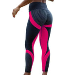 Yoga Leggings for Women - Seamless Slim Tights in Multiple Colors - Allen-Fitness