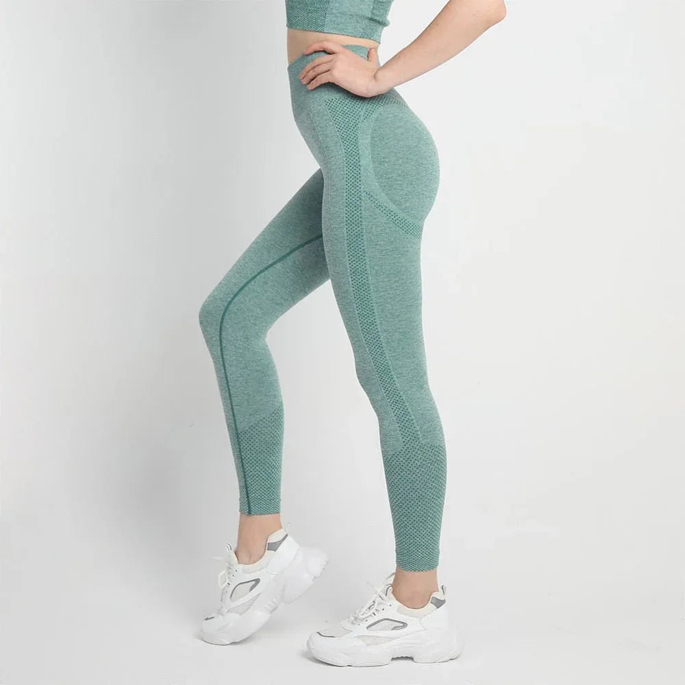 Yoga Leggings Sport Women Fitness Legging Seamless Workout Leggings Fashion Push Up Leggings Gym Women Clothing Dropshipping - Allen-Fitness
