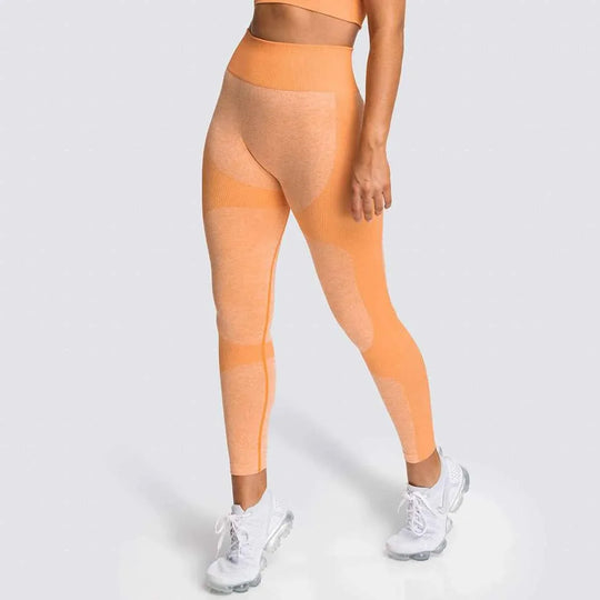 2 Piece Set Seamless Gym Wear Leggings for Women with Breathable Yoga Bra - High Quality Activewear - Allen-Fitness