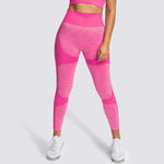 2 Piece Set Seamless Gym Wear Leggings for Women with Breathable Yoga Bra - High Quality Activewear - Allen-Fitness