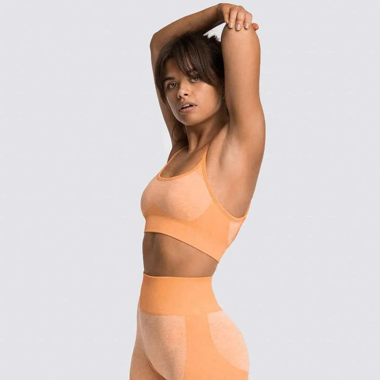 2 Piece Set Seamless Gym Wear Leggings for Women with Breathable Yoga Bra - High Quality Activewear - Allen-Fitness