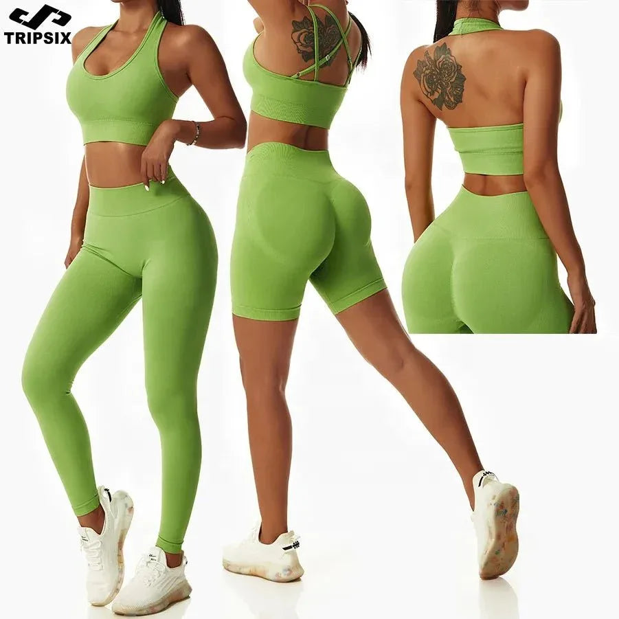 Women Popular New Design Seamless Shirt Short Legging Bra Gym Set Yoga Wear Set Fitness Set - Allen-Fitness