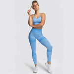 Womens Fitness Leggings - Seamless Workout Gym Sports Yoga Sets - Allen-Fitness