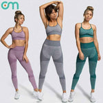Womens Fitness Leggings - Seamless Workout Gym Sports Yoga Sets - Allen-Fitness