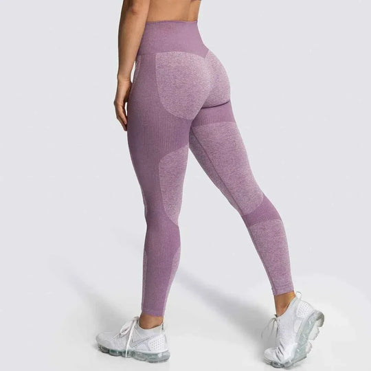 Women’s 14 Color Seamless Yoga Leggings, High Elastic High Waist Scrunch Butt Design for Gym &amp; Workouts - Allen-Fitness