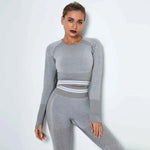 Women's Waist Stripe Seamless Yoga Top for Gym - Long Sleeve Fitness Leggings Shirt - Allen-Fitness