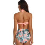 Eco-Friendly Plus Size One-Piece Luxury Swimming Suit - Comfortable Fashionable Bikini for Women - Allen-Fitness