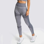 Women’s 14 Color Seamless Yoga Leggings, High Elastic High Waist Scrunch Butt Design for Gym & Workouts - Allen-Fitness