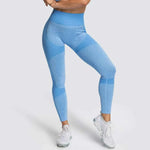 2 Piece Set Seamless Gym Wear Leggings for Women with Breathable Yoga Bra - High Quality Activewear - Allen-Fitness