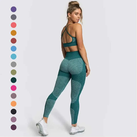Seamless Sports Bra and High Waist Leggings Set for Women - Gym, Fitness, Running, Yoga (2 Piece Set) - Allen-Fitness
