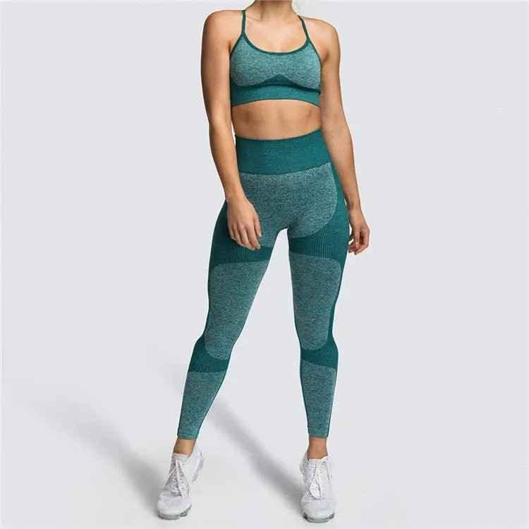 Seamless Sports Bra and High Waist Leggings Set for Women - Gym, Fitness, Running, Yoga (2 Piece Set) - Allen-Fitness