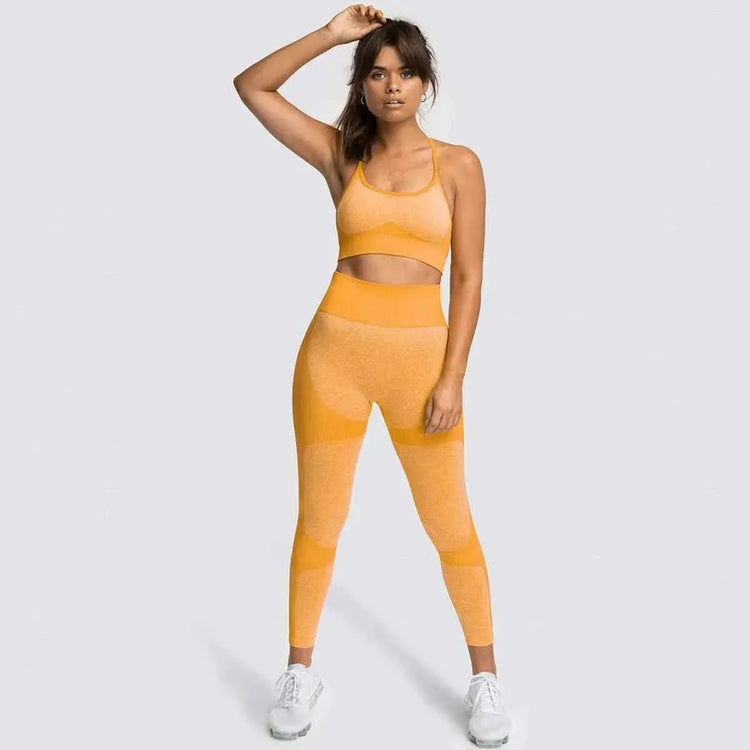 Seamless Sports Bra and High Waist Leggings Set for Women - Gym, Fitness, Running, Yoga (2 Piece Set) - Allen-Fitness