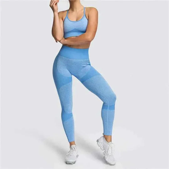 Seamless Sports Bra and High Waist Leggings Set for Women - Gym, Fitness, Running, Yoga (2 Piece Set) - Allen-Fitness