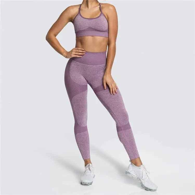 Seamless Sports Bra and High Waist Leggings Set for Women - Gym, Fitness, Running, Yoga (2 Piece Set) - Allen-Fitness