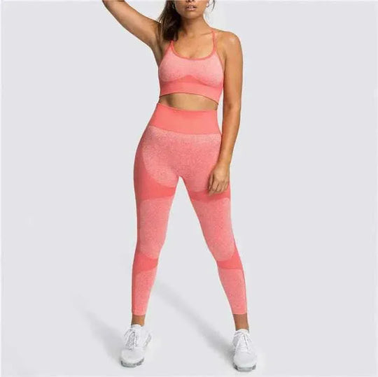 Seamless Sports Bra and High Waist Leggings Set for Women - Gym, Fitness, Running, Yoga (2 Piece Set) - Allen-Fitness