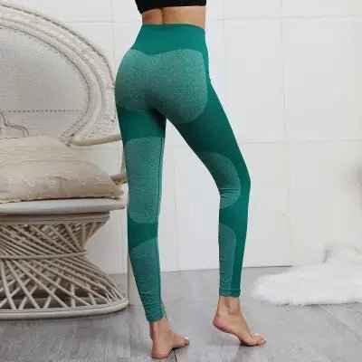 Women's Seamless Sport Leggings - Gym Fitness Yoga Set - Allen-Fitness