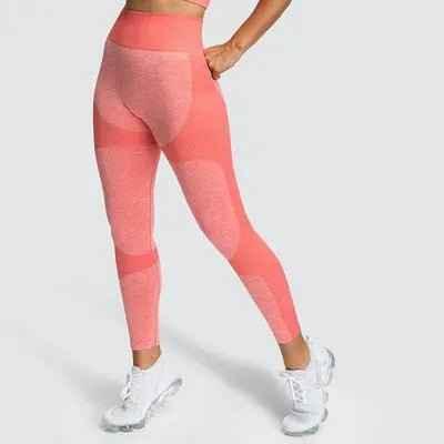 Women's Seamless Sport Leggings - Gym Fitness Yoga Set - Allen-Fitness