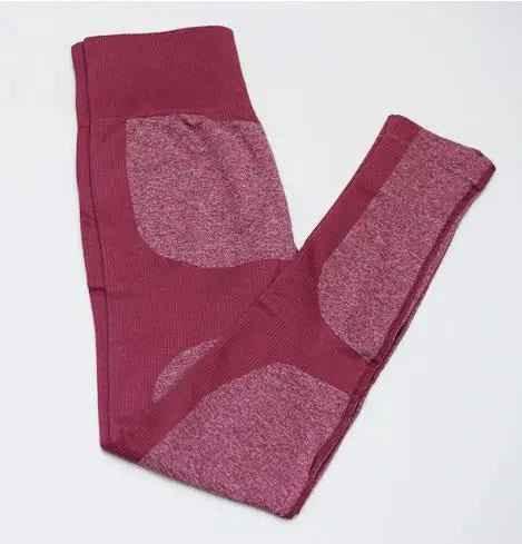 Women's Seamless Sport Leggings - Gym Fitness Yoga Set - Allen-Fitness