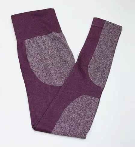 Women's Seamless Sport Leggings - Gym Fitness Yoga Set - Allen-Fitness