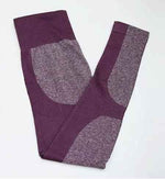 Women's Seamless Sport Leggings - Gym Fitness Yoga Set - Allen-Fitness