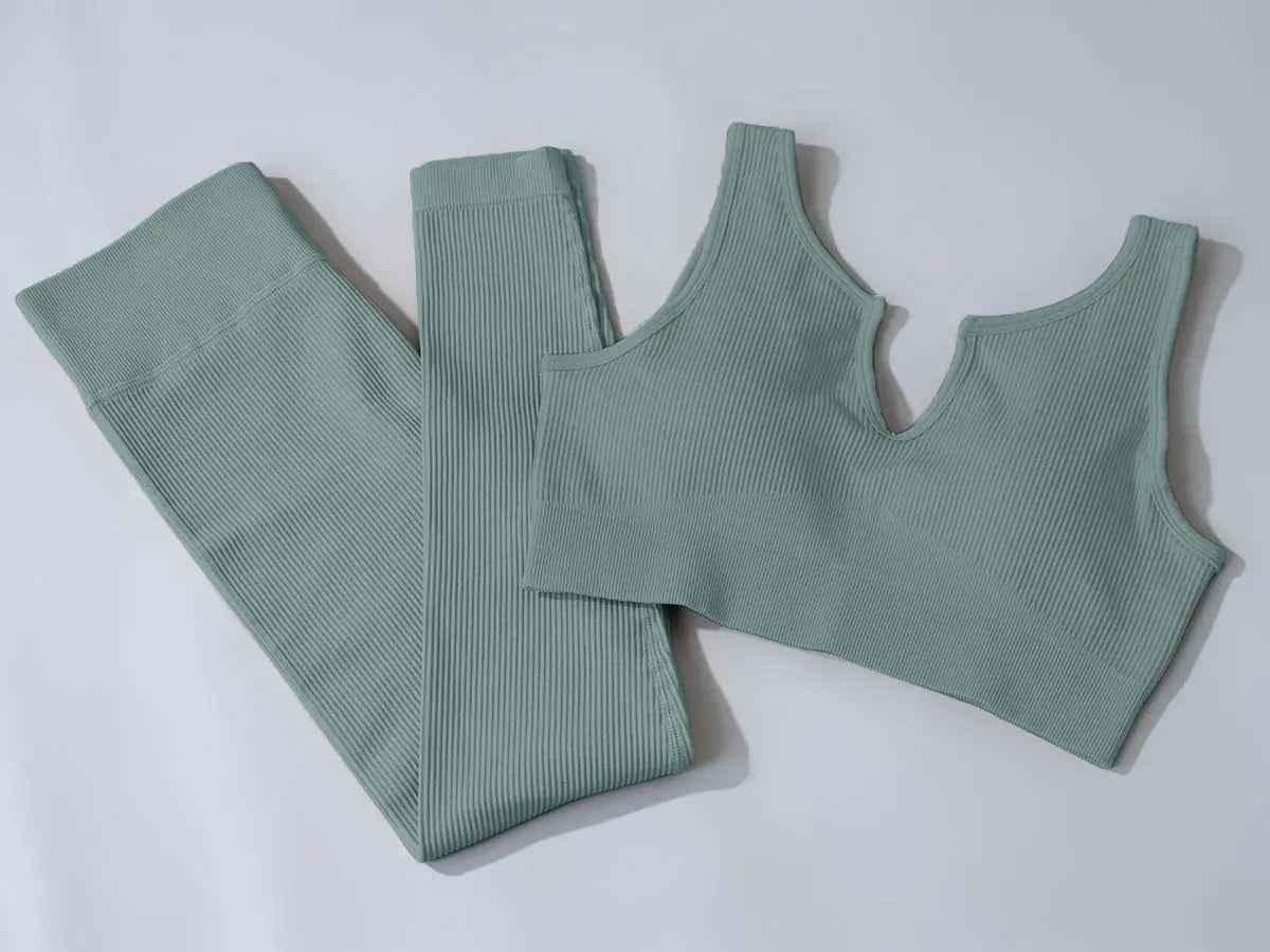 Women workout pants suit sports apparel, women & yoga clothing, and home wear clothes. Activewear seamless yoga gym fitness set - Allen-Fitness