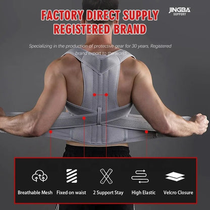 JINGBA Corrector Back Brace for Men and Women Straightener for Spine Support - Allen - Fitness