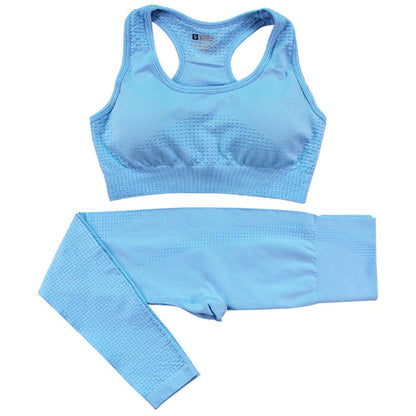 Women's Seamless Yoga Set - 2PCS High Waist Leggings & Fitness Crop Top Gym Outfit - Allen - Fitness