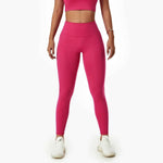 New Fitness Gym Sets 4-Piece Long Sleeve Hoodie Tracksuit Bra Leggings Workout Apparel Yoga Set for Women - Allen-Fitness