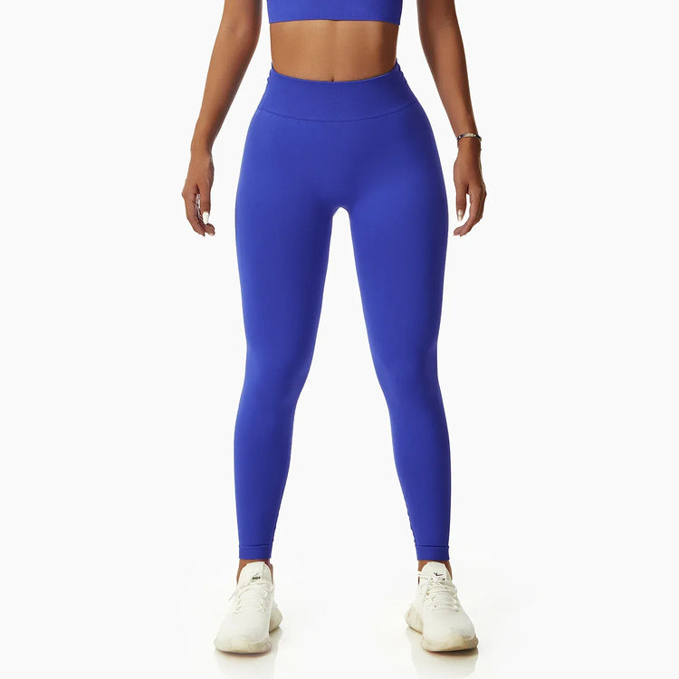 Women Popular New Design Seamless Shirt Short Legging Bra Gym Set Yoga Wear Set Fitness Set - Allen-Fitness