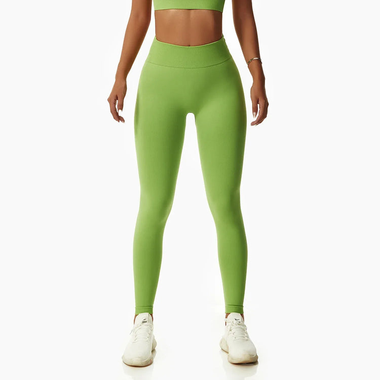Women Popular New Design Seamless Shirt Short Legging Bra Gym Set Yoga Wear Set Fitness Set - Allen-Fitness